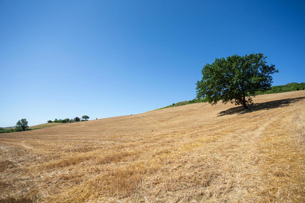 Agriturismo Cappellese Castelnuovo della Misericordia Экстерьер фото
