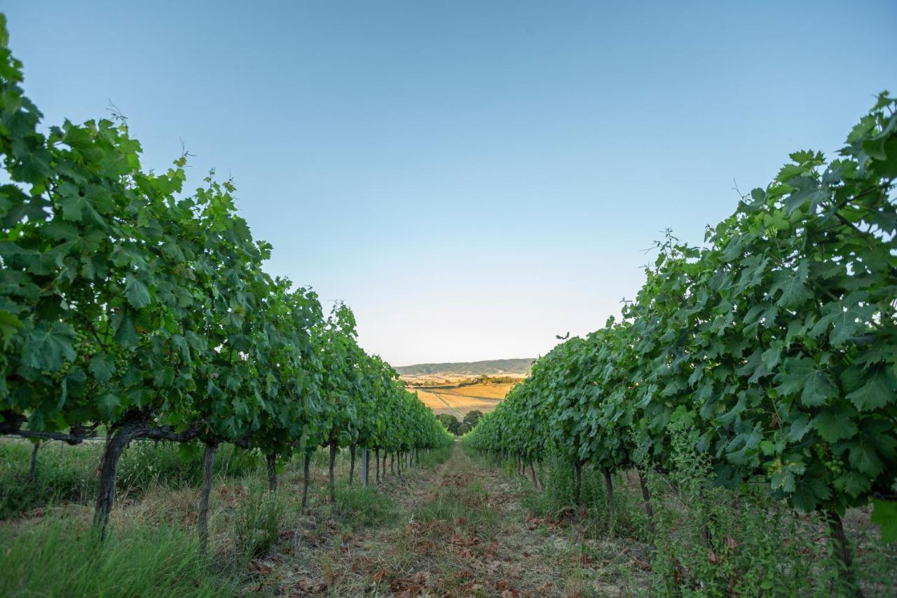 Agriturismo Cappellese Castelnuovo della Misericordia Экстерьер фото