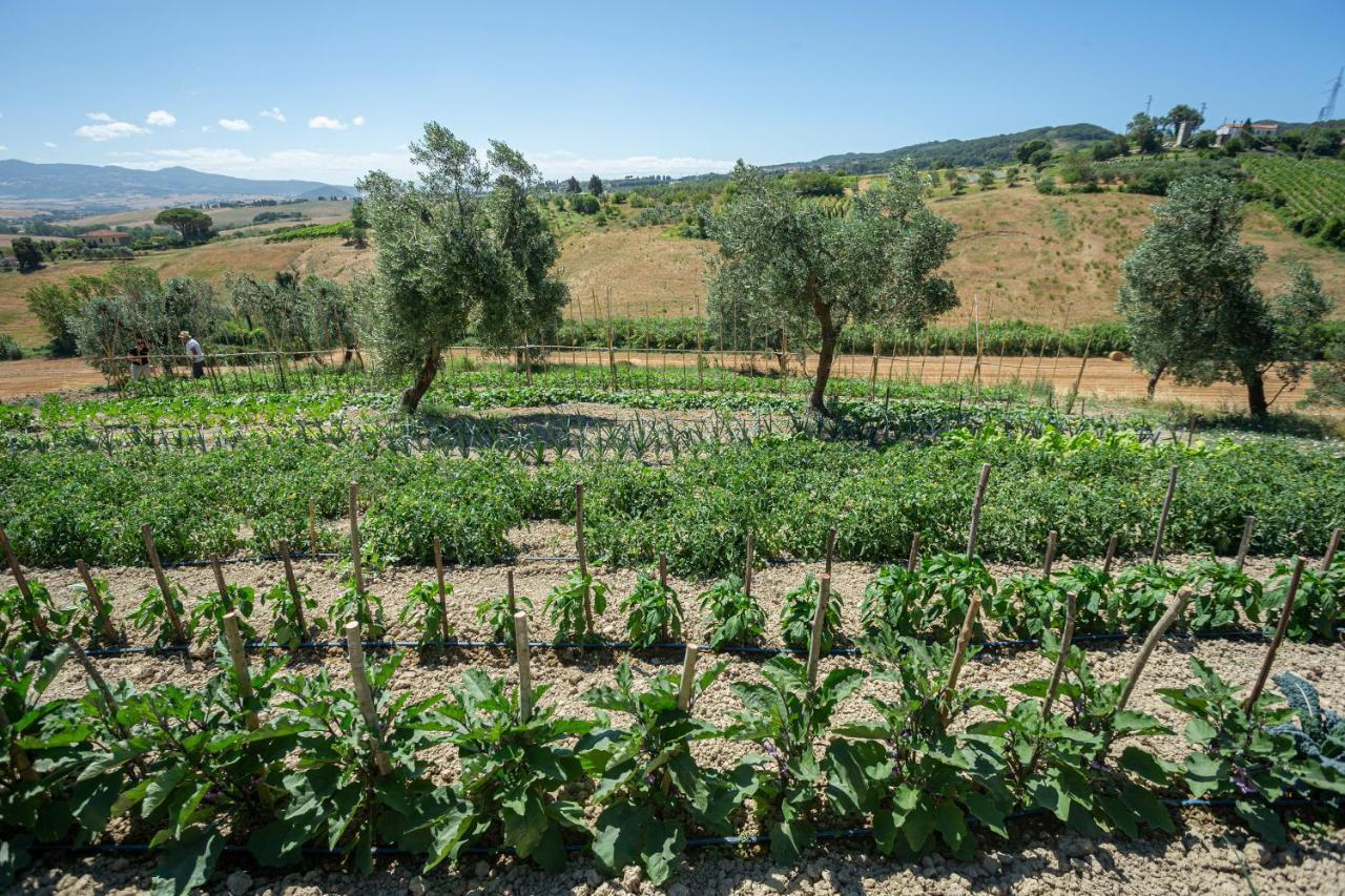 Agriturismo Cappellese Castelnuovo della Misericordia Экстерьер фото