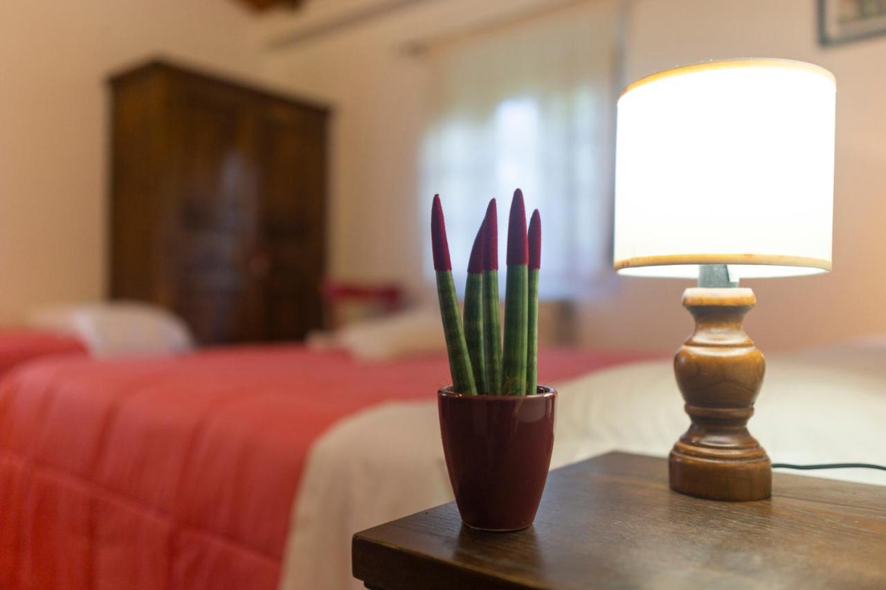 Agriturismo Cappellese Castelnuovo della Misericordia Экстерьер фото