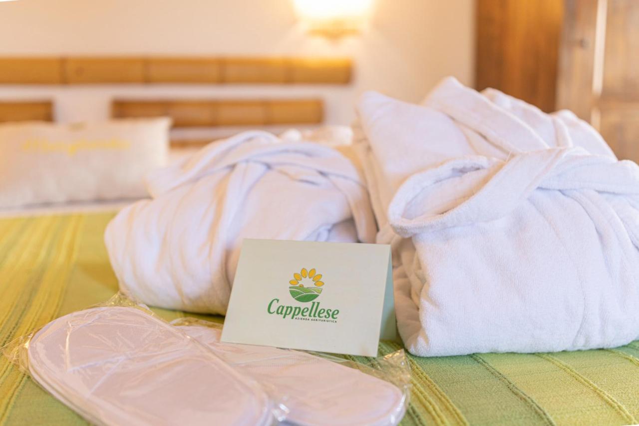 Agriturismo Cappellese Castelnuovo della Misericordia Экстерьер фото