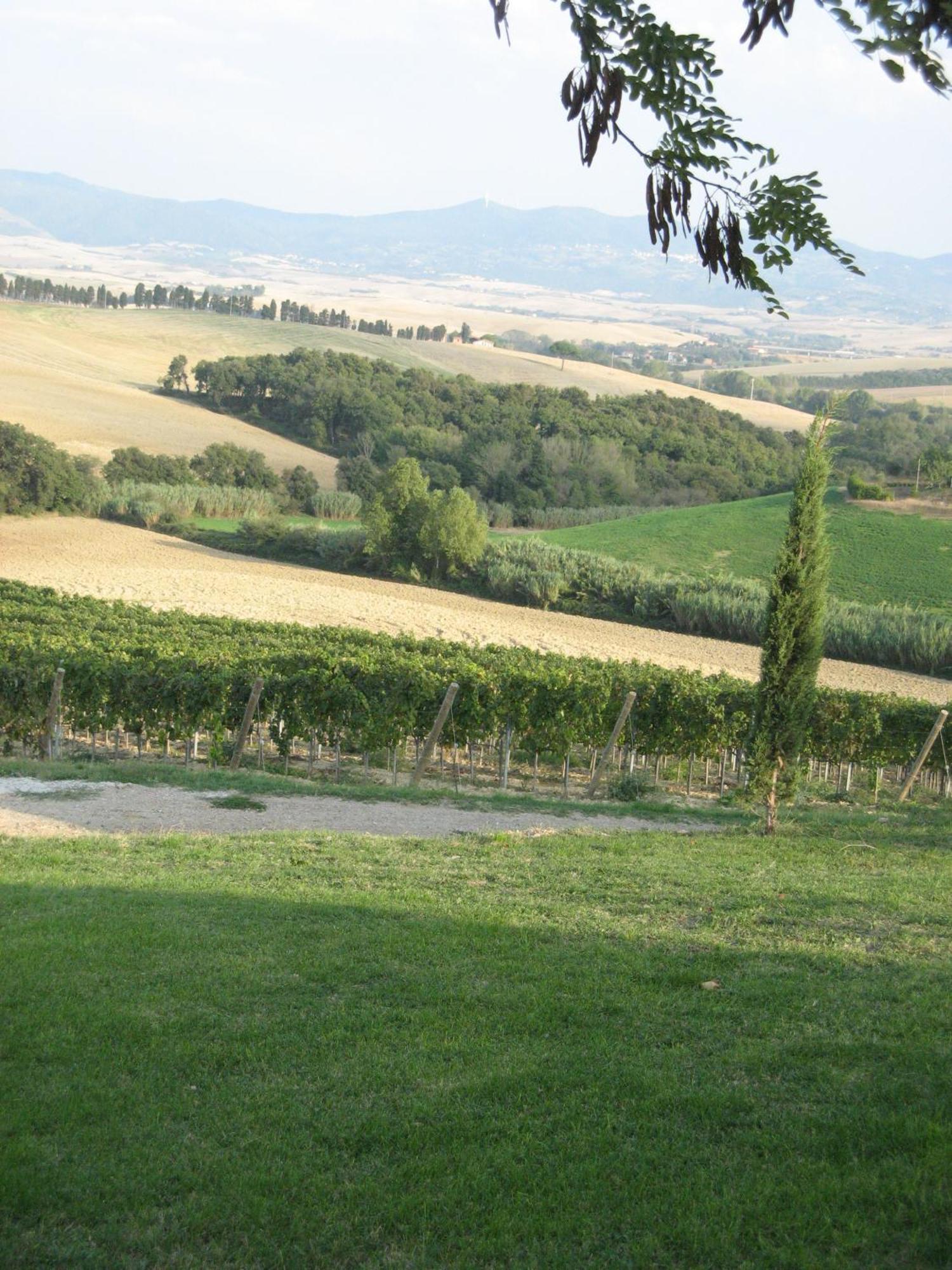 Agriturismo Cappellese Castelnuovo della Misericordia Экстерьер фото
